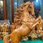 Nhất mã đứng nấm linh chi