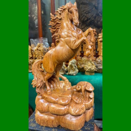Nhất mã đứng nấm linh chi