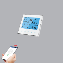 Thiết bị đo nhiệt độ có tích hợp bộ điều khiển