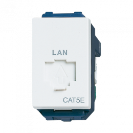 Ổ ắm data CAT5