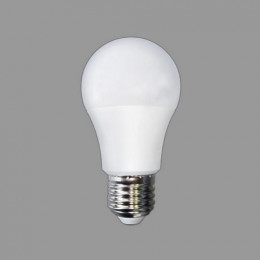Bóng đèn LED BULB công suất nhỏ E27 - IP 20 3W trắng