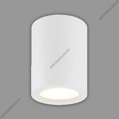 Đèn Downlight trụ LED IP54 Màu trắng