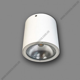 Đèn Downlight trụ LED IP54 -20W trắng