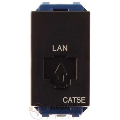 Ổ cắm data CAT6 - Modular jack